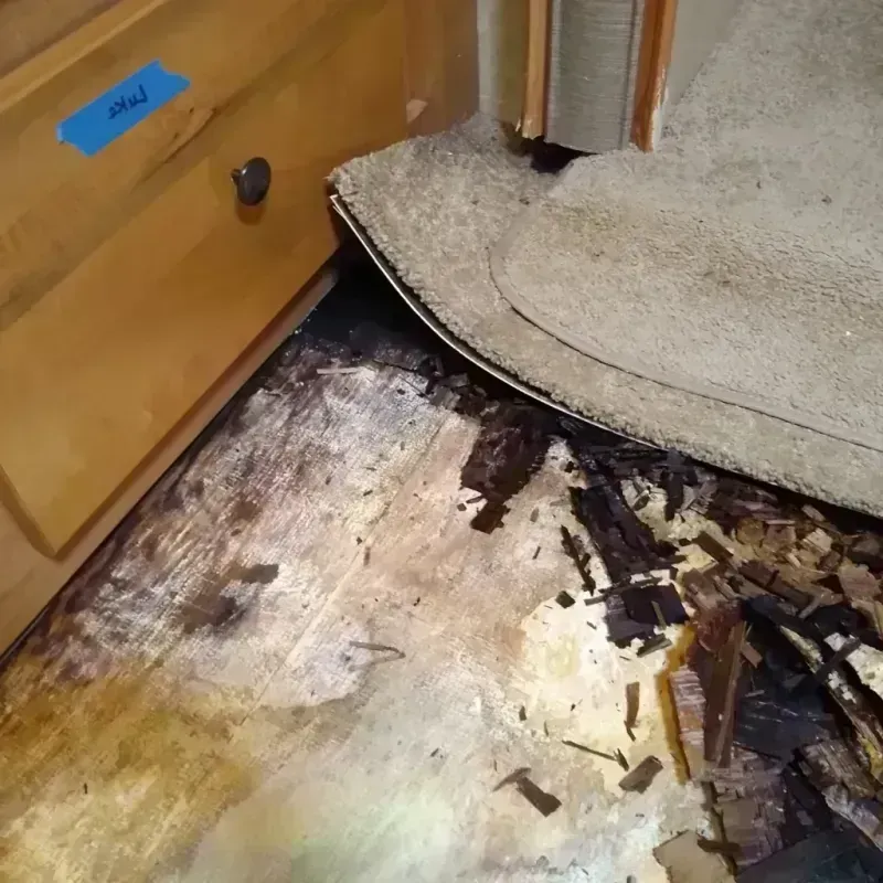 Best Wood Floor Water Damage Service in Clarkesville, GA